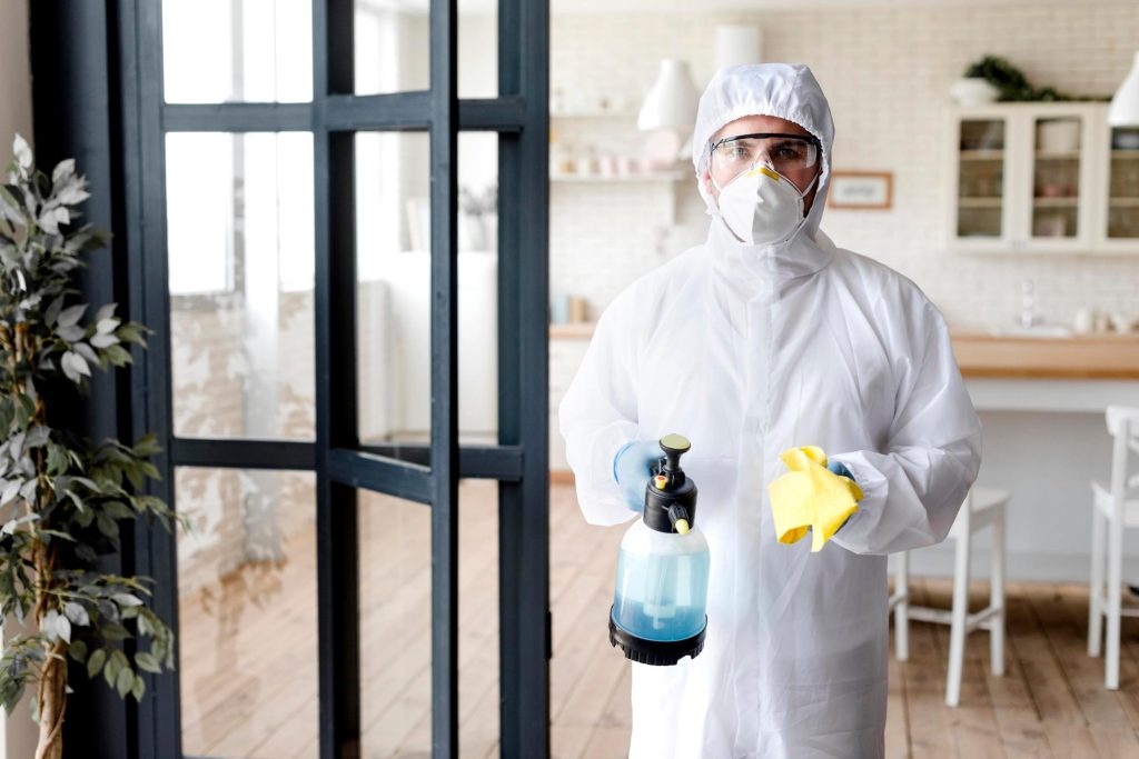 Dedetização Profissional